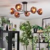 Ripoll Lampa sufitowa, Kula świetlna Przezroczysty, W kolorze miedzi, 6-punktowe