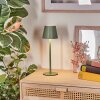 Salgadinho Zewnętrzna lampa stołowa, Lampa łazienkowa, Lampa stołowa LED Zielony, 1-punktowy