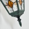 Naofe Zewnętrzny kinkiet, Lampa ścienna Zielony, Czarny, 1-punktowy