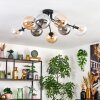 Gastor Lampa sufitowa, Kula świetlna W kolorze bursztynu, Przezroczysty, Przydymiony, 8-punktowe