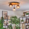 Koyoto Lampa sufitowa, Kula świetlna Ecru, Czarny, 3-punktowe
