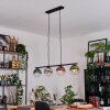 Gastor Lampa wisząca, Kula świetlna, Lampa wisząca Niebeieski, Chrom, Zielony, Przezroczysty, W kolorze miedzi, Przydymiony, 4-punktowe