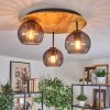 Koyoto Lampa sufitowa, Kula świetlna Ecru, Czarny, 3-punktowe