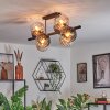 Koyoto Lampa sufitowa, Kula świetlna W kolorze bursztynu, Przezroczysty, Przydymiony, 8-punktowe