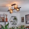 Koyoto Lampa sufitowa, Kula świetlna W kolorze bursztynu, Przezroczysty, Przydymiony, 8-punktowe