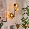 Koyoto Kula świetlna, Lampa ścienna W kolorze bursztynu, Przezroczysty, 3-punktowe
