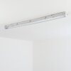 Ilena zewnętrzna lampa sufitowa, oświetlenie zewnętrzne, lampa łazienkowa, reflektor budowlany, lampa sufitowa LED szary, 1-punktowy