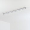 Ilena zewnętrzna lampa sufitowa, oświetlenie zewnętrzne, lampa łazienkowa, reflektor budowlany, lampa sufitowa LED szary, 1-punktowy
