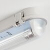 Ilena zewnętrzna lampa sufitowa, oświetlenie zewnętrzne, lampa łazienkowa, reflektor budowlany, lampa sufitowa LED szary, 1-punktowy