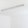 Ilena zewnętrzna lampa sufitowa, oświetlenie zewnętrzne, lampa łazienkowa, reflektor budowlany, lampa sufitowa LED szary, 1-punktowy
