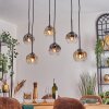 Ripoll lampa wisząca, kula świetlna, lampa wisząca bursztynowy, przezroczysty, przydymiony, 6-punktowe