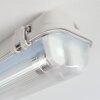 Ilena zewnętrzna lampa sufitowa, oświetlenie zewnętrzne, lampa łazienkowa, reflektor budowlany, lampa sufitowa LED szary, 1-punktowy