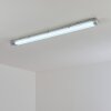 Ilena zewnętrzna lampa sufitowa, oświetlenie zewnętrzne, lampa łazienkowa, reflektor budowlany, lampa sufitowa LED szary, 1-punktowy
