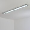 Ilena Oświetlenie zewnętrzne, Lampa łazienkowa, Lampa sufitowa LED Szary, 1-punktowy