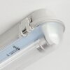 Ilena zewnętrzna lampa sufitowa, oświetlenie zewnętrzne, lampa łazienkowa, reflektor budowlany, lampa sufitowa LED szary, 1-punktowy