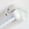 Ilena zewnętrzna lampa sufitowa, oświetlenie zewnętrzne, lampa łazienkowa, reflektor budowlany, lampa sufitowa LED szary, 1-punktowy