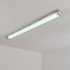Ilena zewnętrzna lampa sufitowa, oświetlenie zewnętrzne, lampa łazienkowa, reflektor budowlany, lampa sufitowa LED szary, 1-punktowy