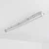 Ilena Oświetlenie zewnętrzne, Lampa łazienkowa, Lampa sufitowa LED Szary, 1-punktowy