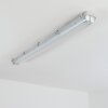 Ilena Oświetlenie zewnętrzne, Lampa łazienkowa, Lampa sufitowa LED Szary, 1-punktowy