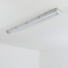 Ilena zewnętrzna lampa sufitowa, oświetlenie zewnętrzne, lampa łazienkowa, reflektor budowlany, lampa sufitowa LED szary, 1-punktowy