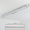 Ilena zewnętrzna lampa sufitowa, oświetlenie zewnętrzne, lampa łazienkowa, reflektor budowlany, lampa sufitowa LED szary, 1-punktowy