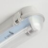 Ilena zewnętrzna lampa sufitowa, oświetlenie zewnętrzne, lampa łazienkowa, reflektor budowlany, lampa sufitowa LED szary, 1-punktowy