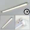 Ilena Oświetlenie zewnętrzne, Lampa łazienkowa, Lampa sufitowa LED Szary, 1-punktowy