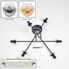 Ripoll lampa sufitowa, kula świetlna bursztynowy, przezroczysty, przydymiony, 6-punktowe