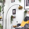 Ripoll Kula świetlna, Lampa stojąca Czarny, 1-punktowy