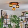 Koyoto lampa sufitowa, kula świetlna 40 cm kolory naturalne, czarny, 3-punktowe