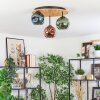 Ripoll Lampa sufitowa, Kula świetlna Ecru, Czarny, 3-punktowe Ripoll Lampa sufitowa, Kula świetlna Ecru, Czarny, 3-punktowe