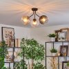Koyoto lampa sufitowa, kula świetlna bursztynowy, przezroczysty, przydymiony, 3-punktowe