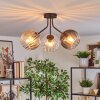 Koyoto lampa sufitowa, kula świetlna bursztynowy, przezroczysty, przydymiony, 3-punktowe