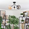 Koyoto lampa sufitowa, kula świetlna bursztynowy, przezroczysty, przydymiony, 3-punktowe
