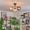 Koyoto Lampa sufitowa, Kula świetlna W kolorze bursztynu, Przezroczysty, Przydymiony, 3-punktowe
