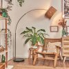 Granja lampa stojąca, lampa podłogowa łukowa nikiel matowy, czarny, 1-punktowy
