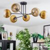 Koyoto Lampa sufitowa, Kula świetlna 78 cm Złoty, Przezroczysty, 6-punktowe