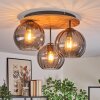Koyoto lampa sufitowa, kula świetlna kolory naturalne, czarny, 3-punktowe