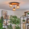 Koyoto lampa sufitowa, kula świetlna kolory naturalne, czarny, 3-punktowe
