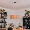Pilaru Lampa wisząca, Lampa wisząca Chrom, Nikiel matowy, 1-punktowy
