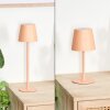 Salgadinho zewnętrzna lampa stołowa, lampa stołowa LED morelowy, 1-punktowy