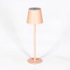 Salgadinho zewnętrzna lampa stołowa, lampa stołowa LED morelowy, 1-punktowy