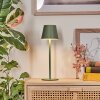 Salgadinho Zewnętrzna lampa stołowa, Lampa łazienkowa, Lampa stołowa LED Zielony, 1-punktowy