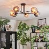 Koyoto lampa sufitowa, kula świetlna 78 cm bursztynowy, przezroczysty, przydymiony, 6-punktowe