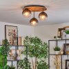Koyoto Lampa sufitowa, Kula świetlna Ecru, Czarny, 3-punktowe