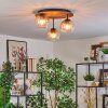 Koyoto lampa sufitowa, kula świetlna kolory naturalne, czarny, 3-punktowe