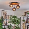 Koyoto lampa sufitowa, kula świetlna kolory naturalne, czarny, 3-punktowe