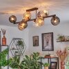 Koyoto lampa sufitowa, kula świetlna bursztynowy, przezroczysty, przydymiony, 10-punktowe