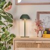Laken Zewnętrzna lampa stołowa, Lampa łazienkowa, Lampa stołowa LED Zielony, 1-punktowy