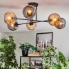 Ripoll lampa sufitowa, kula świetlna bursztynowy, przydymiony, 6-punktowe